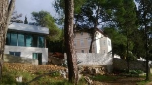 WP_20131122_022 - Copy