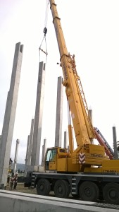 WP_20140325_007 - Copy